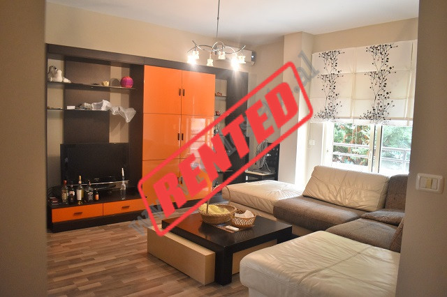 Two bedroom apartment for rent at Zoo area in Tirana, Albania